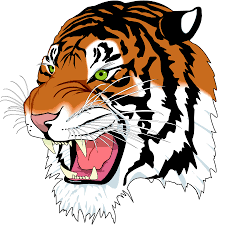 Tiger Tiger